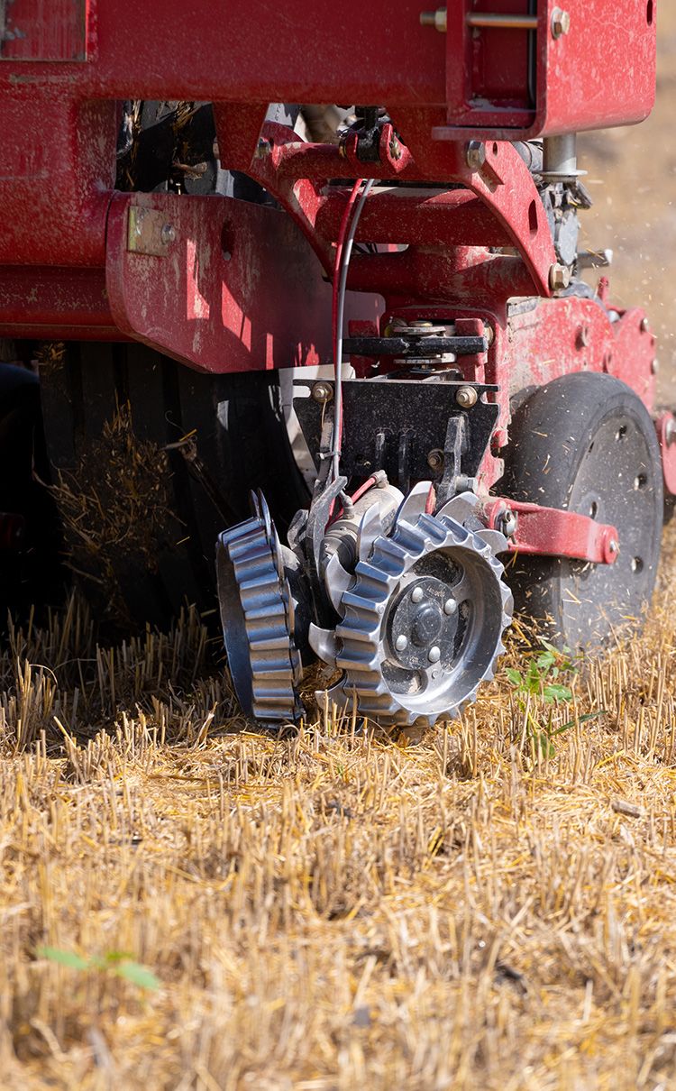 A planter distributes soybean seeds into the previous (wheat) crop’s residue.