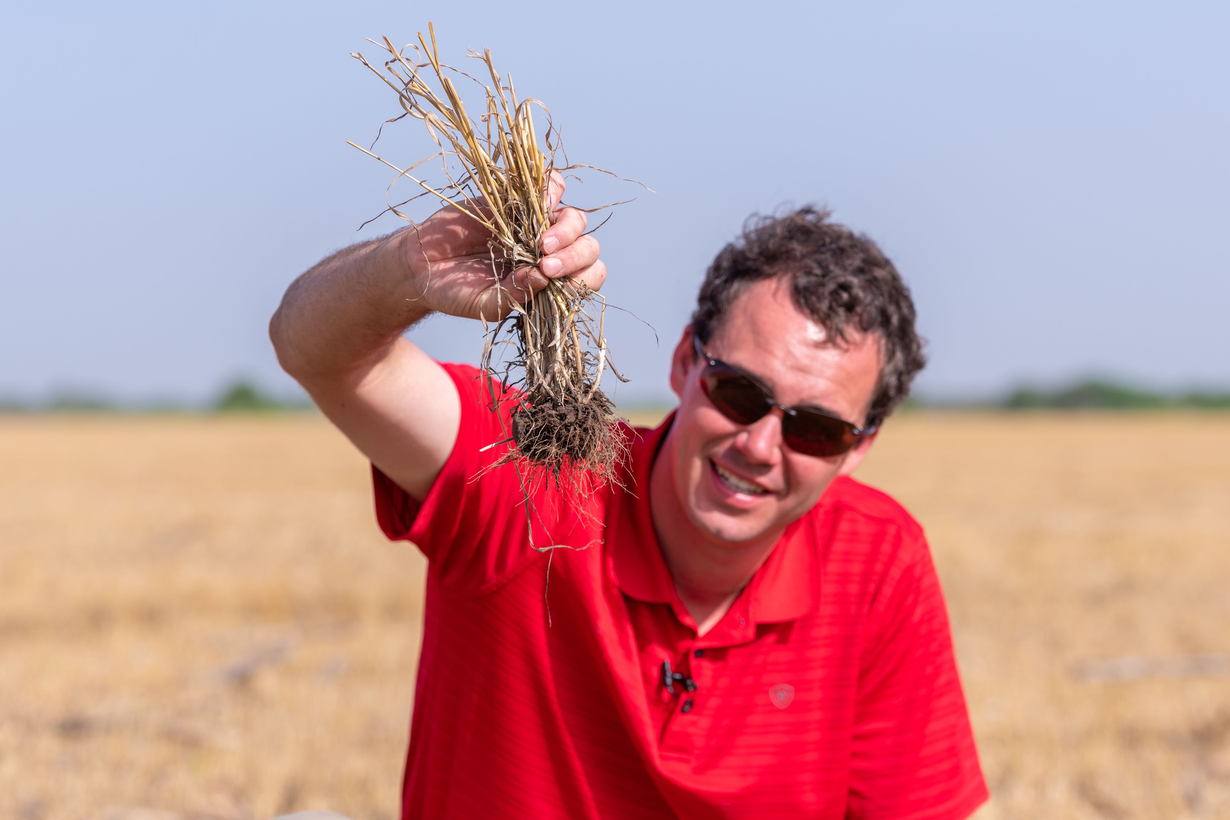 詹姆斯·莫兰德利用一把小麦残茬固定土壤，保护其免遭侵蚀。